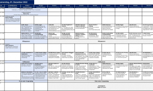 Übersicht Präsenz-Kongress Tag 1